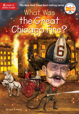 Book cover for What Was the Great Chicago Fire?