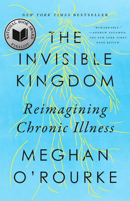 Book cover for The Invisible Kingdom: Reimagining Chronic Illness