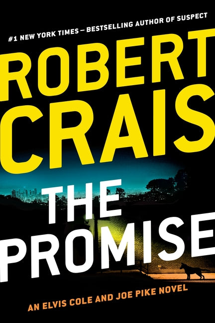 Book cover for Promise