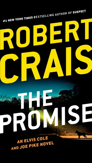 Book cover for Promise