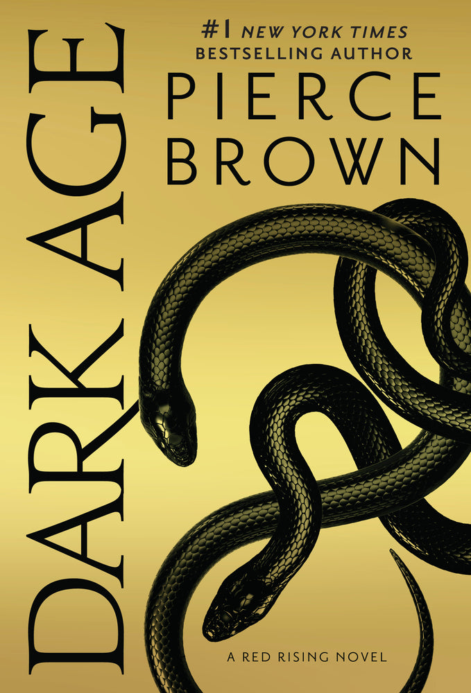 Book cover for Dark Age