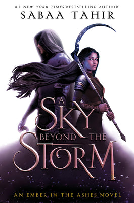 Book cover for A Sky Beyond the Storm