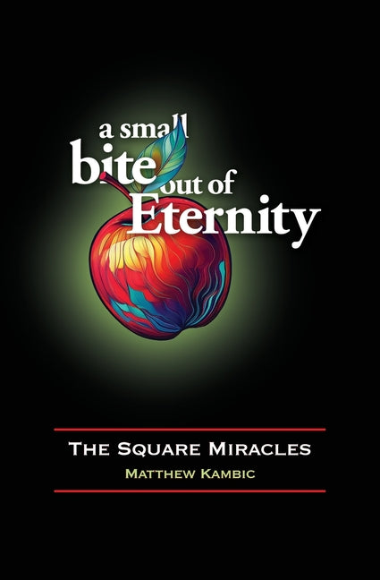 Book cover for Small Bite out of Eternity The Square Miracles