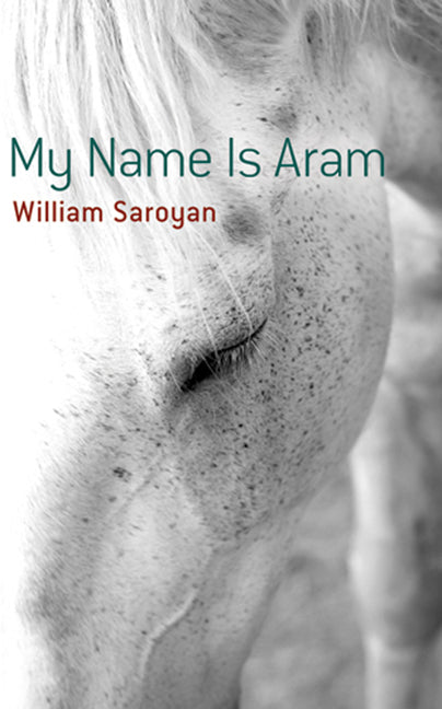 Book cover for My Name is Aram