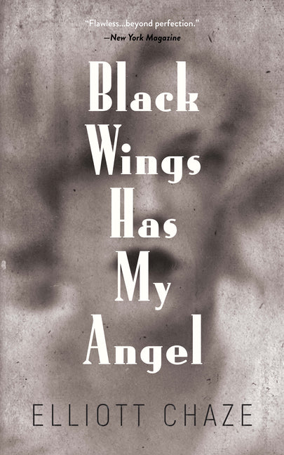 Book cover for Black Wings Has My Angel