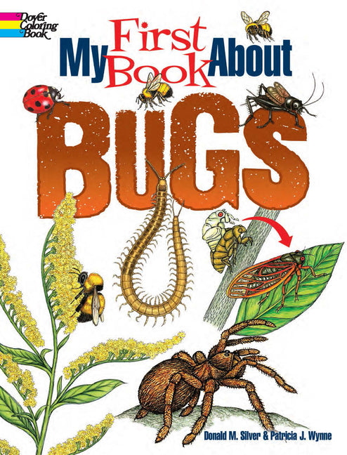 Book cover for My First Book about Bugs