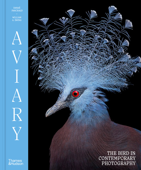 Book cover for Aviary: The Bird in Contemporary Photography