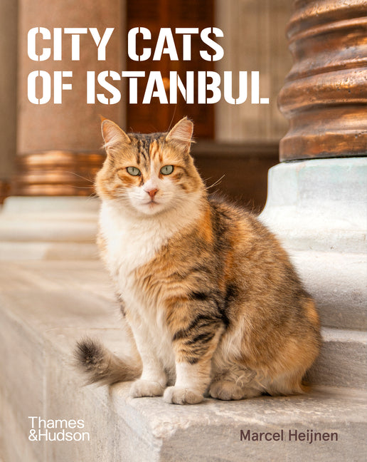 Book cover for City Cats of Istanbul