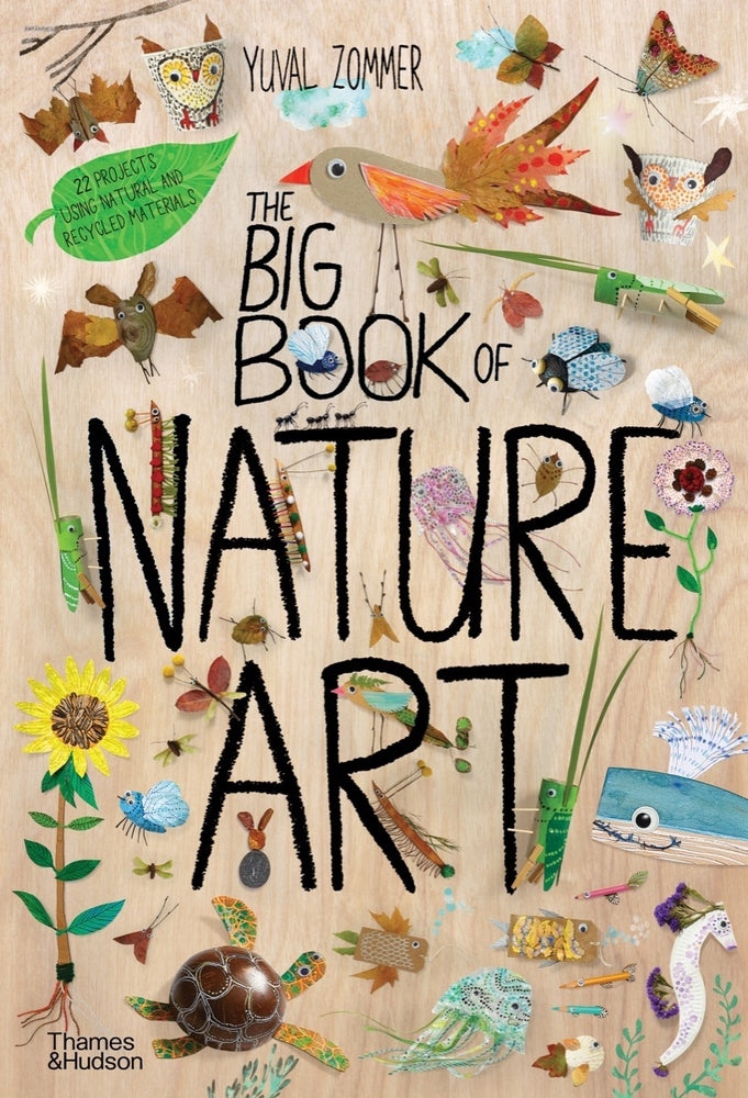 Book cover for The Big Book of Nature Art