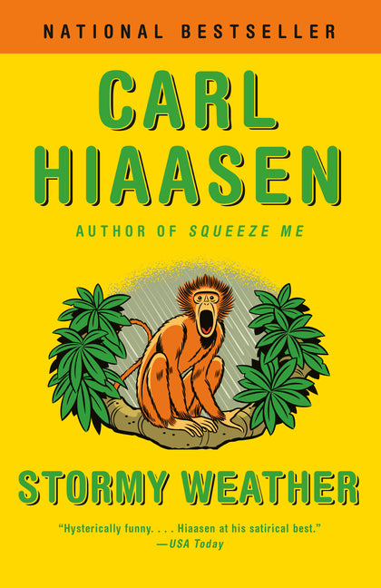 Book cover for Stormy Weather