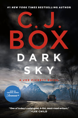 Book cover for Dark Sky