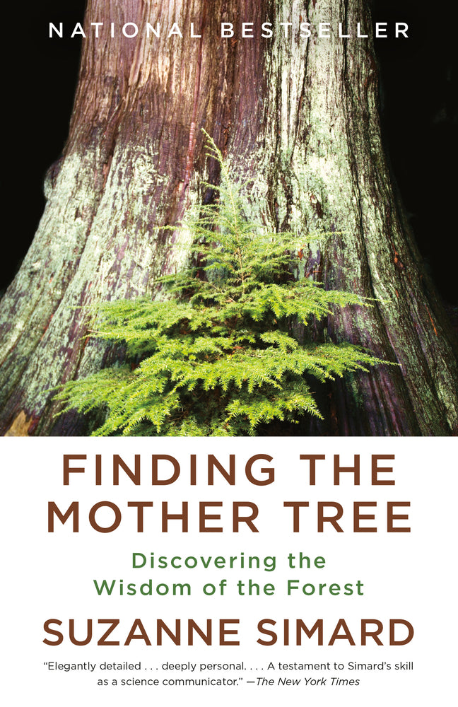 Book cover for Finding the Mother Tree: Discovering the Wisdom of the Forest