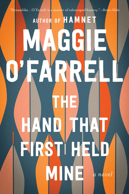 Book cover for Hand That First Held Mine