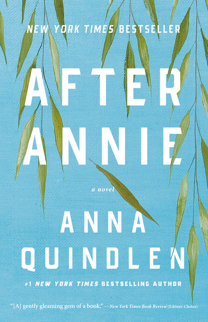 Book cover for After Annie