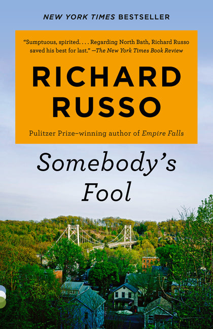 Book cover for Somebody's Fool