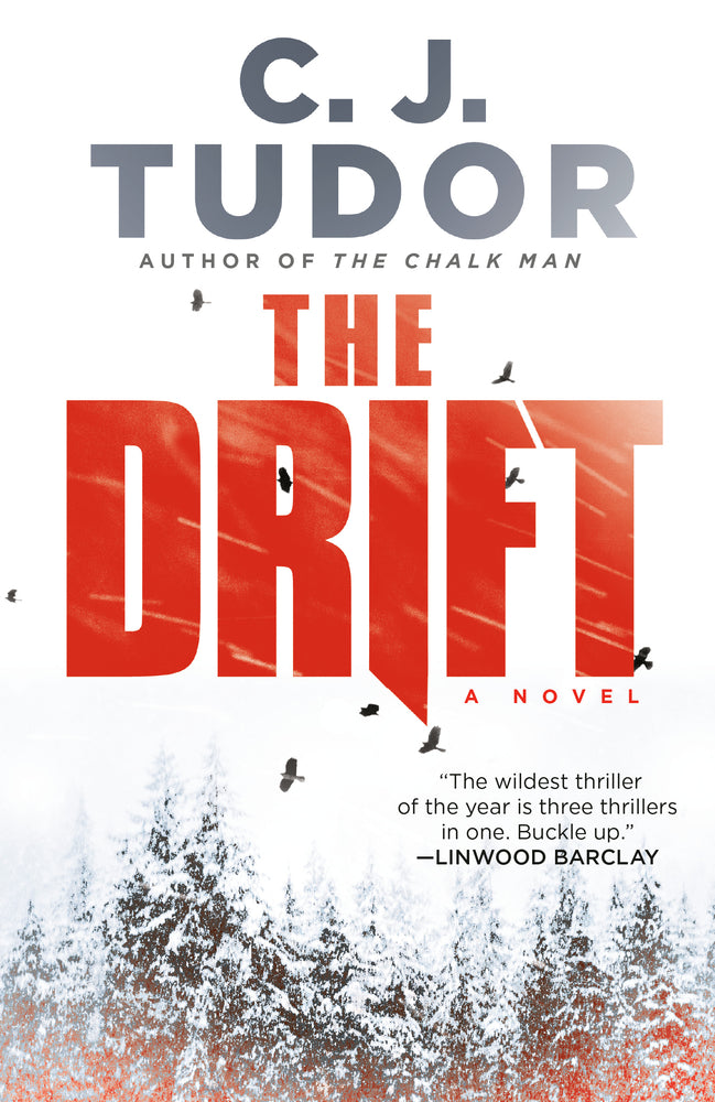 Book cover for The Drift