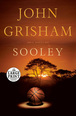 Book cover for Sooley