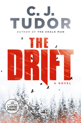 Book cover for The Drift