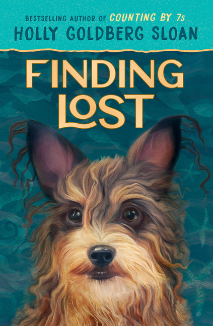 Book cover for Finding Lost