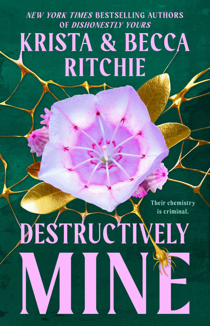 Book cover for Destructively Mine