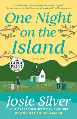 Book cover for One Night on the Island