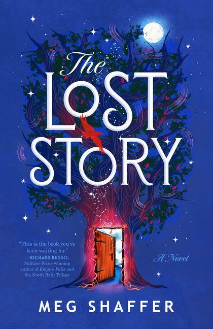 Book cover for Lost Story
