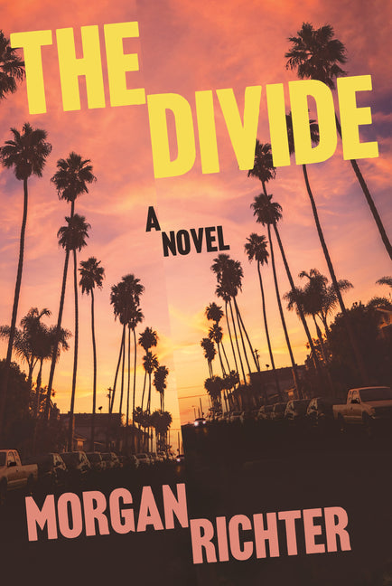Book cover for Divide