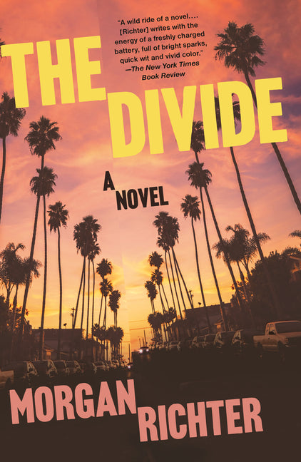 Book cover for Divide