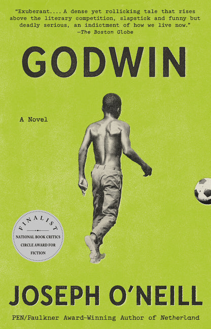 Book cover for Godwin