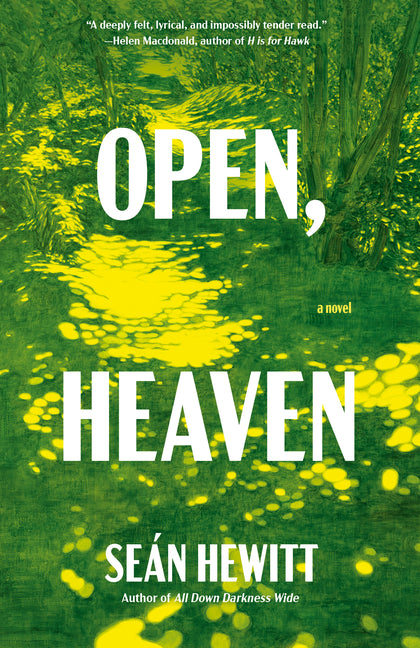 Book cover for Open, Heaven