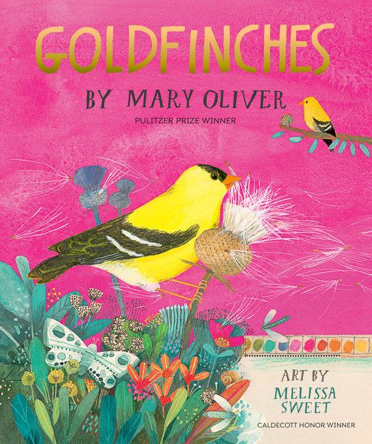 Book cover for Goldfinches