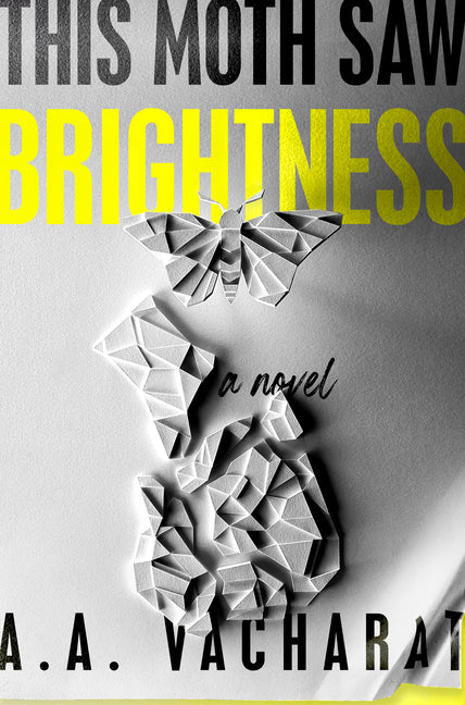 Book cover for This Moth Saw Brightness