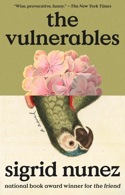 Book cover for Vulnerables