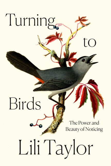 Book cover for Turning to Birds: The Power and Beauty of Noticing