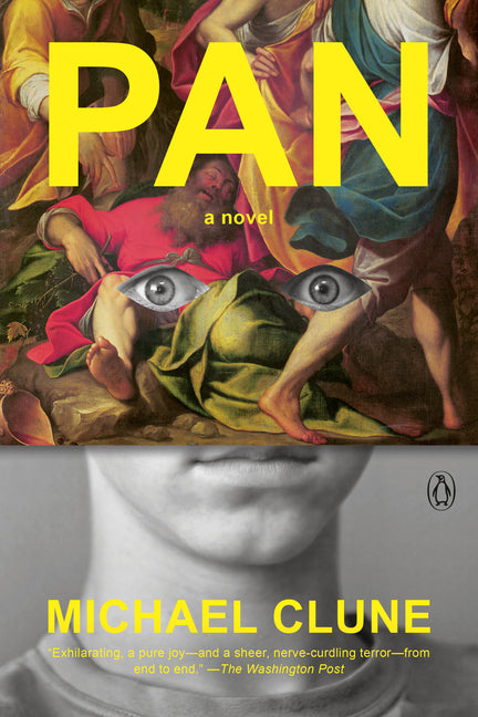 Book cover for Pan