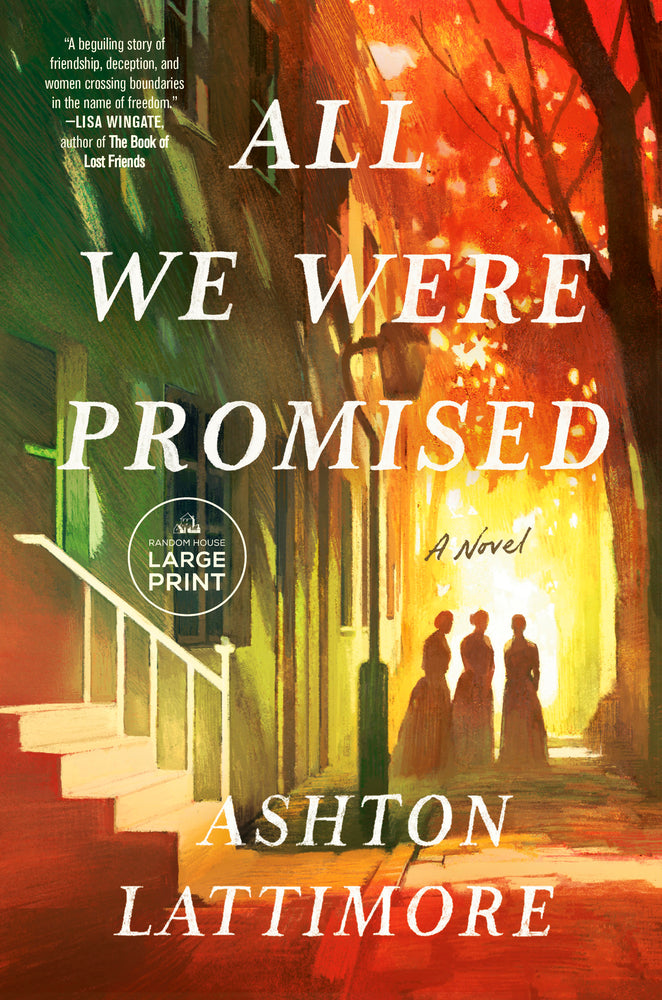 Book cover for All We Were Promised
