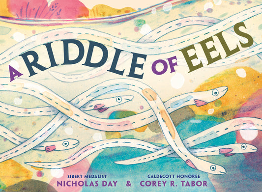 Book cover for Riddle of Eels