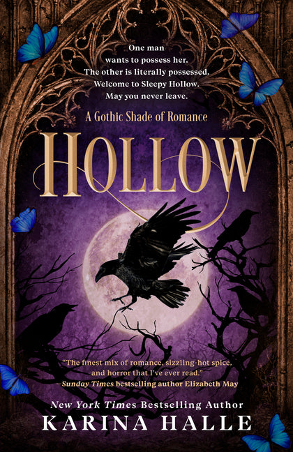 Book cover for Hollow