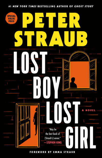 Book cover for Lost Boy Lost Girl