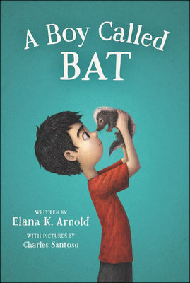 Book cover for Boy Called Bat