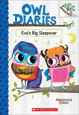 Book cover for Eva's Big Sleepover