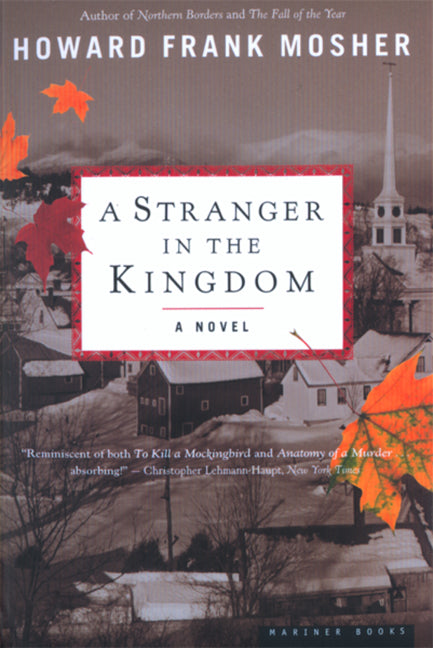 Book cover for Stranger in the Kingdom