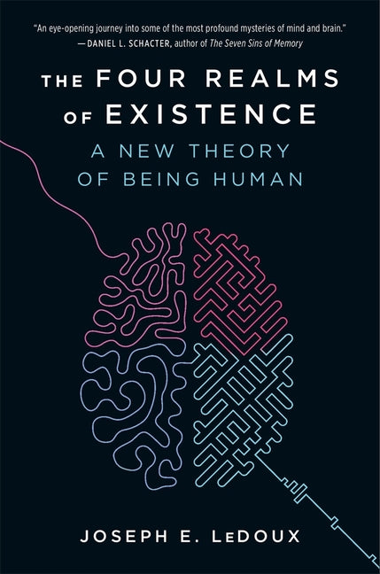 Book cover for Four Realms of Existence: A New Theory of Being Human