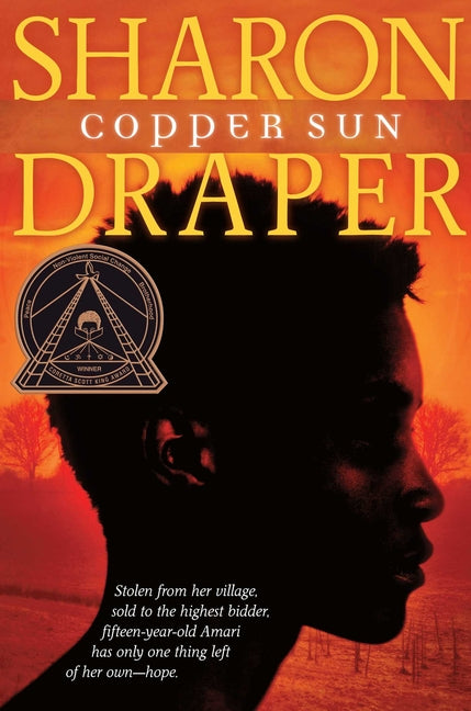 Book cover for Copper Sun