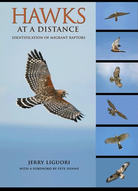 Book cover for Hawks at a Distance: Identification of Migrant Raptors