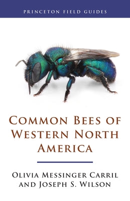 Book cover for Common Bees of Western North America