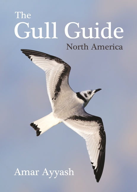 Book cover for Gull Guide: North America