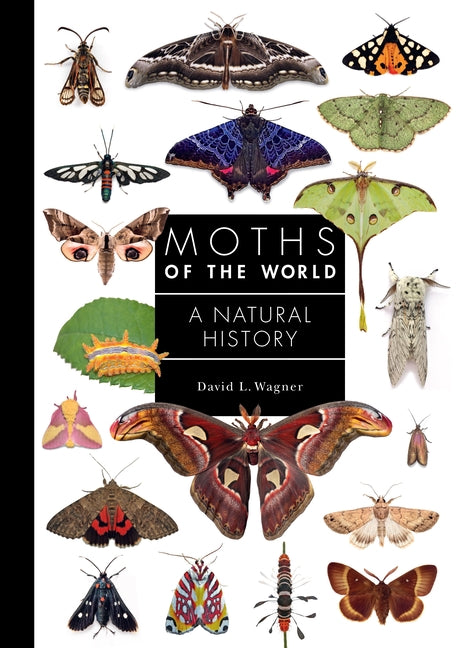 Book cover for Moths of the World: A Natural History