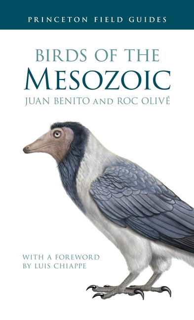 Book cover for Birds of the Mesozoic