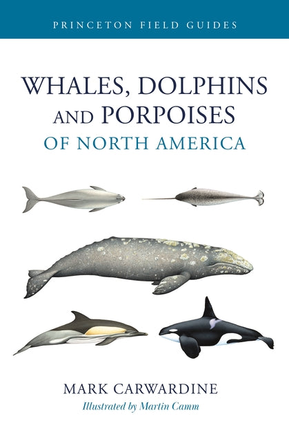 Book cover for Whales, Dolphins, and Porpoises of North America
